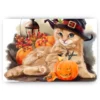 Schilderen op nummer – Kat – SEOS Shop ®