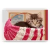 Schilderen op nummer – Kat in de mand – SEOS Shop ®