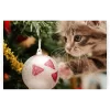 Schilderen op nummer – Kat met kerstbal – SEOS Shop ®