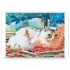 Schilderen op nummer – Kat onder de boom – SEOS Shop ®