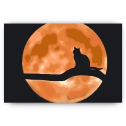 Schilderen op nummer – Kat op volle maan – SEOS Shop ®