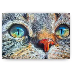 Schilderen op nummer – Katten ogen blauw – SEOS Shop ®