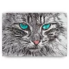Schilderen op nummer – Kattenportret – SEOS Shop ®