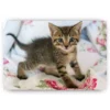 Schilderen op nummer – Kitten op bed – SEOS Shop ®