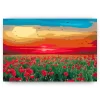 Schilderen op nummer – Klaprozenveld bij zonsondergang – SEOS Shop ®