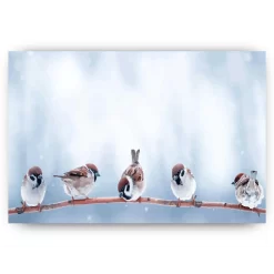 Schilderen op nummer – Kleine Schattige Vogels – SEOS Shop ®