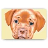 Schilderen op nummer – Kleine puppy – SEOS Shop ®