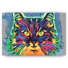 Schilderen op nummer – Kleur Cat 2 – SEOS Shop ®