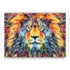 Schilderen op nummer – Kleurrijke leeuw – SEOS Shop ®