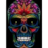 Schilderen op nummer – Kleurrijke schedel – SEOS Shop ®