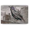 Schilderen op nummer – Koning Raven – SEOS Shop ®