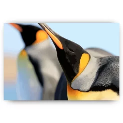 Schilderen op nummer – Konings pinguïns – SEOS Shop ®