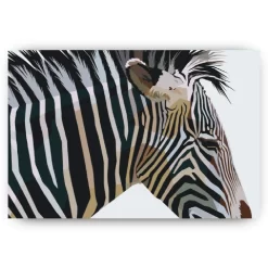 Schilderen op nummer – Kubistische zebra – SEOS Shop ®