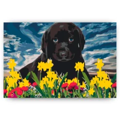 Schilderen op nummer – Labrador puppy – SEOS Shop ®