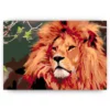 Schilderen op nummer – Leeuw – SEOS Shop ®