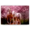 Schilderen op nummer – Liefdevolle paarden – SEOS Shop ®