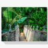 Schilderen op nummer – Loopbrug in de Jungle – SEOS Shop ®