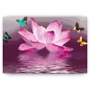 Schilderen op nummer – Lotus en vlinder – SEOS Shop ®