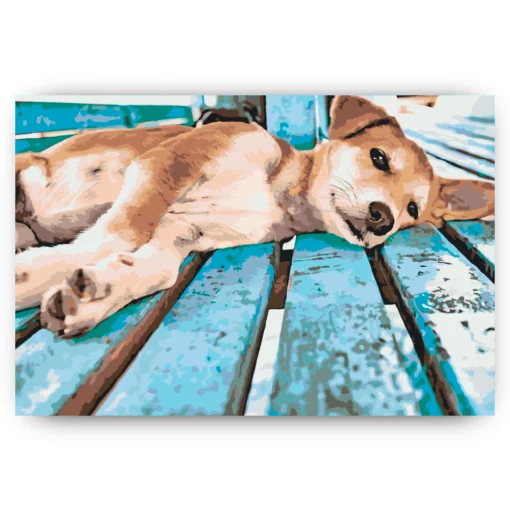 Schilderen op nummer – Luie hond – SEOS Shop ®