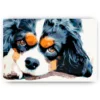 Schilderen op nummer – Nadenkend hondje – SEOS Shop ®