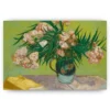 Schilderen op nummer – Oleanders – SEOS Shop ®