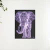 Schilderen op nummer – Olifant liefhebber – SEOS Shop ®