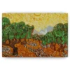 Schilderen op nummer – Olijfbomen – SEOS Shop ®