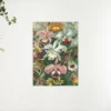 Schilderen op nummer – Orchidee – SEOS Shop ®