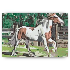 Schilderen op nummer – Paard in de kraal – SEOS Shop ®