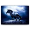 Schilderen op nummer – Paard in het donker – SEOS Shop ®