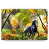 Schilderen op nummer – Paard op een pad – SEOS Shop ®