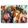 Schilderen op nummer – Paarden feest – SEOS Shop ®