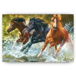 Schilderen op nummer – Paarden op het water – SEOS Shop ®