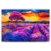 Schilderen op nummer – Paarse Zonsondergang – SEOS Shop ®