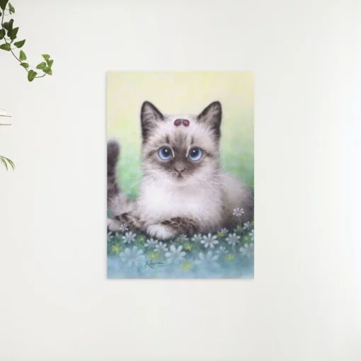 Schilderen op nummer – Pakket Kitten – SEOS Shop ®