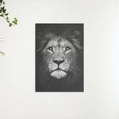 Schilderen op nummer – Pakket Zwart wit leeuw – SEOS Shop ®