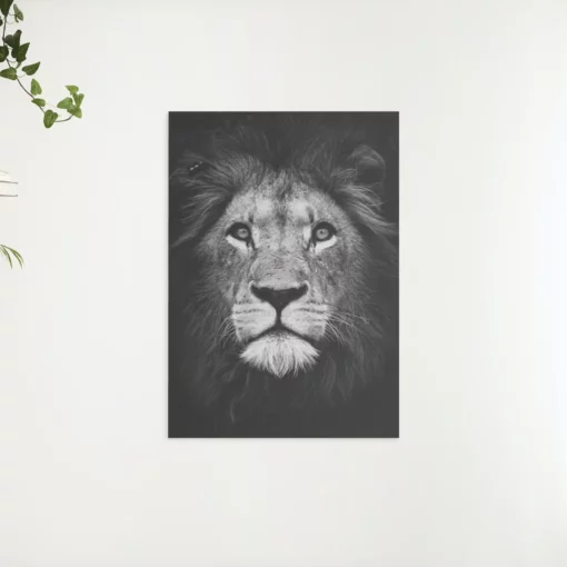 Schilderen op nummer – Pakket Zwart wit leeuw – SEOS Shop ®