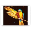 Schilderen op nummer – Papegaai Ara blauw en geel – SEOS Shop ®