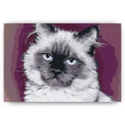Schilderen op nummer – Portret van een kat – SEOS Shop ®
