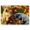 Schilderen op nummer – Prachtige Honden – SEOS Shop ®