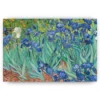 Schilderen op nummer – Prachtige bloemen Van Gogh – SEOS Shop ®