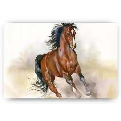 Schilderen op nummer – Rennend paard – SEOS Shop ®