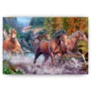 Schilderen op nummer – Rennende paarden – SEOS Shop ®