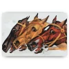 Schilderen op nummer – Renpaarden – SEOS Shop ®