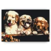 Schilderen op nummer – Retriever puppies – SEOS Shop ®