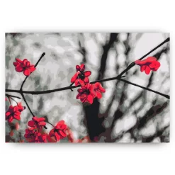Schilderen op nummer – Rode bloemen aan de boom – SEOS Shop ®