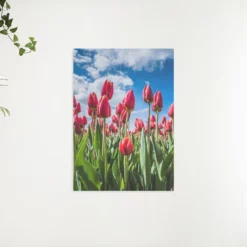 Schilderen op nummer – Rode tulpen – SEOS Shop ®