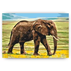 Schilderen op nummer – Safari olifant – SEOS Shop ®
