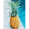 Schilderen op nummer – Sappige Ananas – SEOS Shop ®