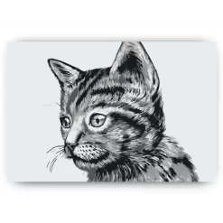 Schilderen op nummer – Schattig zwart-wit katje – SEOS Shop ®